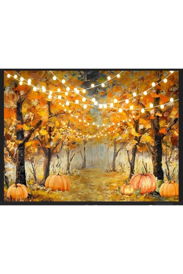 Doğum Günü, Balkabağı Konsept, Okul Etkinlik, Parti, Kutlama, Fotoğraf Çekimi, Kumaş Arka Fon 250X200 Cm Ek Dikişli
