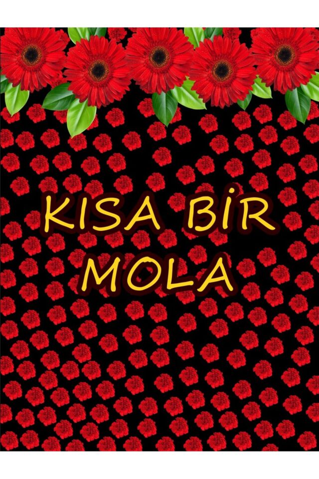 250X200 cm Ek Dikişli, Kısa Bir Mola, Ara Tatil, Okul Etkinlik Kumaş Fon