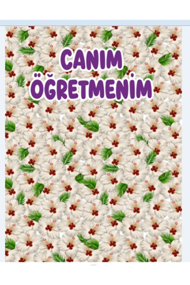 24 Kasım Öğretmenler Günü Okul Etkinlik Kumaş Fon 250x200 CmEKLEME DİKİŞLİ